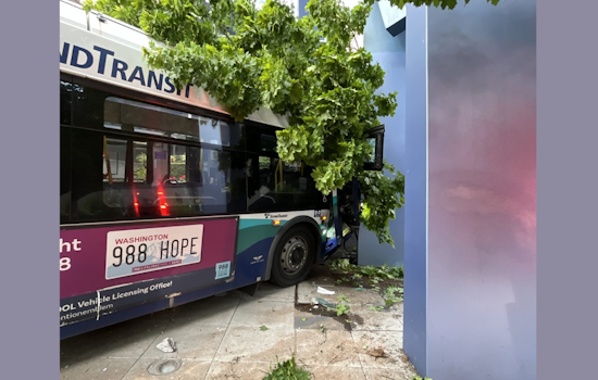 Bus Crash in Downtown Seattle Sends 11 to the Hospital, Communal Efforts Lauded in Wake of Mass Casualty Incident