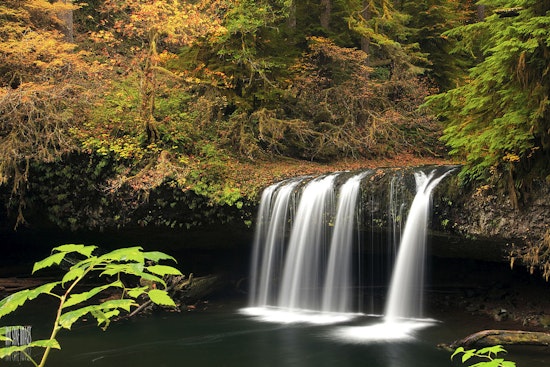 Butte Creek Falls Set to Reopen After Four-Year Closure Due to Oregon Wildfires
