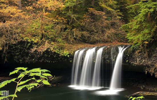 Butte Creek Falls Set to Reopen After Four-Year Closure Due to Oregon Wildfires