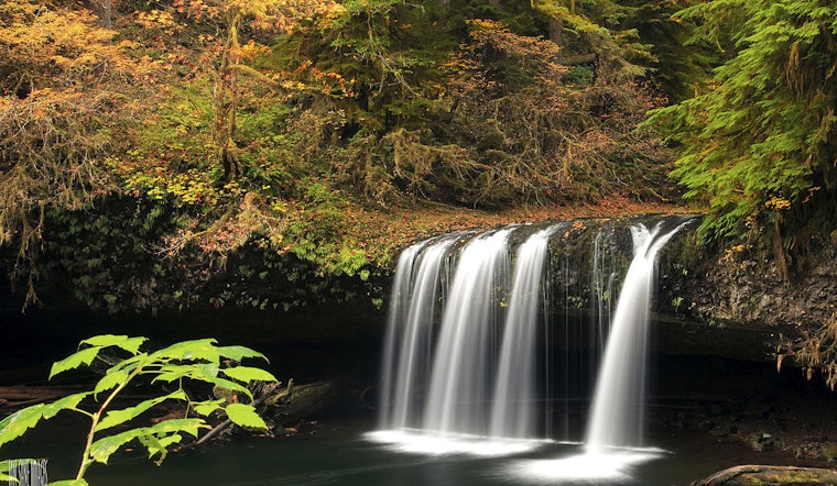 Butte Creek Falls Set to Reopen After Four-Year Closure Due to Oregon Wildfires