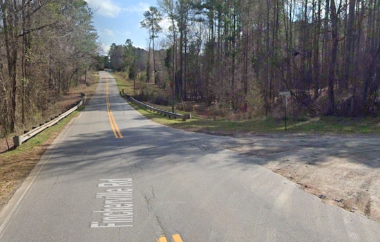 Butts County Sheriff's Office Issues Caution as Black Bear Sighted in Local Areas