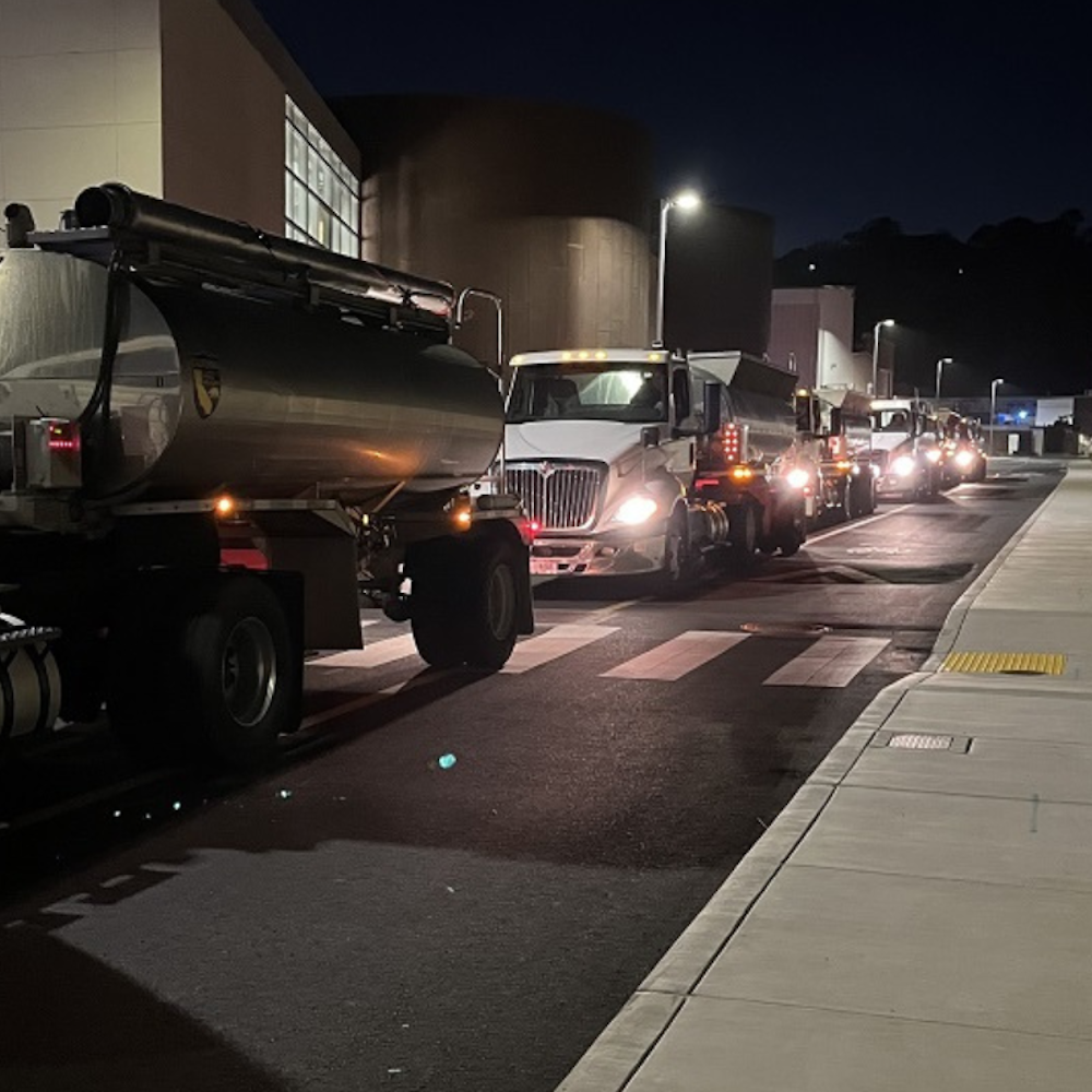 California Pioneers Salmon Revival: A Million Chinook Released in San Pablo Bay by CDFW and Cal Maritime