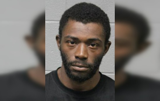 Chicago Authorities Charge 24-Year-Old William McGee in State St. Robbery Case