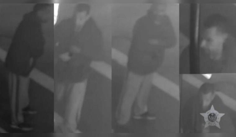Chicago Authorities Release Video of Suspected Armed Robber in 17th District