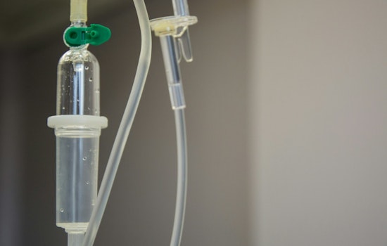Chicago Conference Ushers in Medical Revolution Less-Is-More Cancer Treatments Triumph