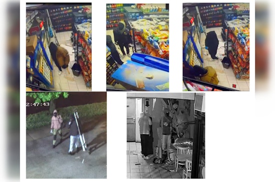 Chicago Police Appeal for Public Help to Identify Suspects in Multi-District Burglary Spree