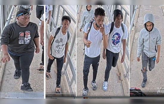 Chicago Police Seek Assistance to Identify Suspects in Blue Line Train Armed Robbery