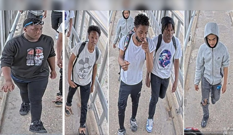 Chicago Police Seek Assistance to Identify Suspects in Blue Line Train Armed Robbery