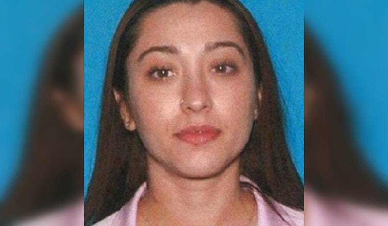Chicago Police Seek Information on Missing Woman and Daughter Last Seen in November 2021