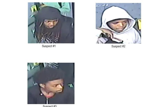 Chicago Police Seek Public Assistance to Identify Suspects in Ogden District Homicide