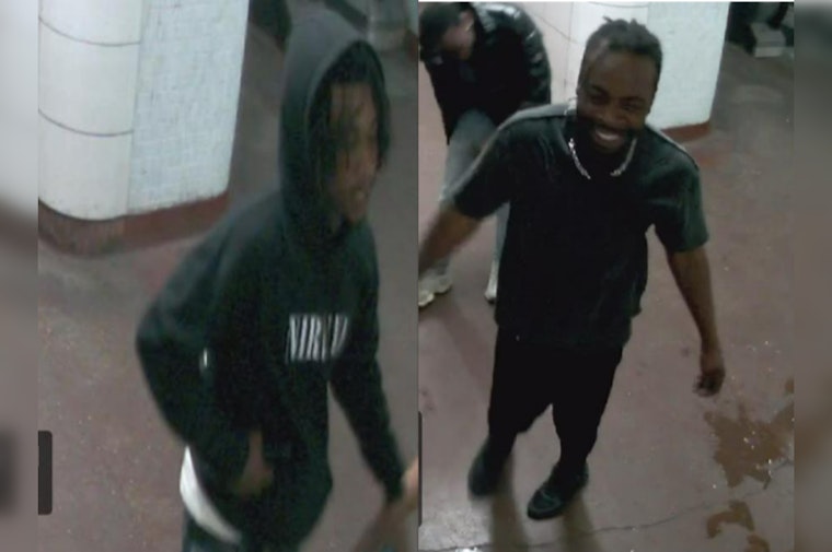 Chicago Police Seek Two Suspects for Robbery and Unwanted Physical Contact on Red Line