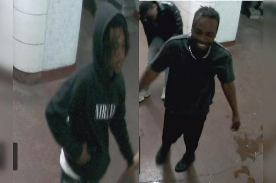 Chicago Police Seek Two Suspects for Robbery and Unwanted Physical Contact on Red Line