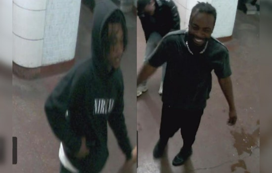 Chicago Police Seek Two Suspects for Robbery and Unwanted Physical Contact on Red Line