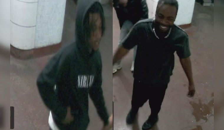 Chicago Police Seek Two Suspects for Robbery and Unwanted Physical Contact on Red Line