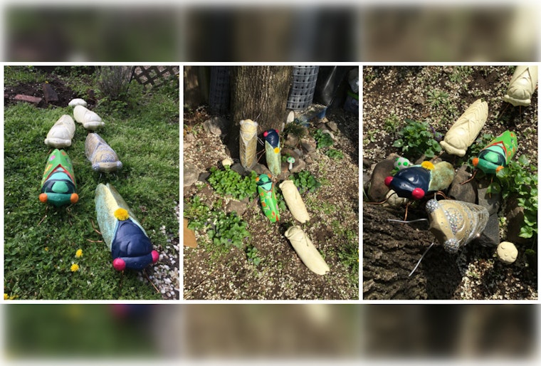 Chicago Transforms into Artistic Hive with "Cicada Parade-A" Public Art Display and Unique Jewelry Creations