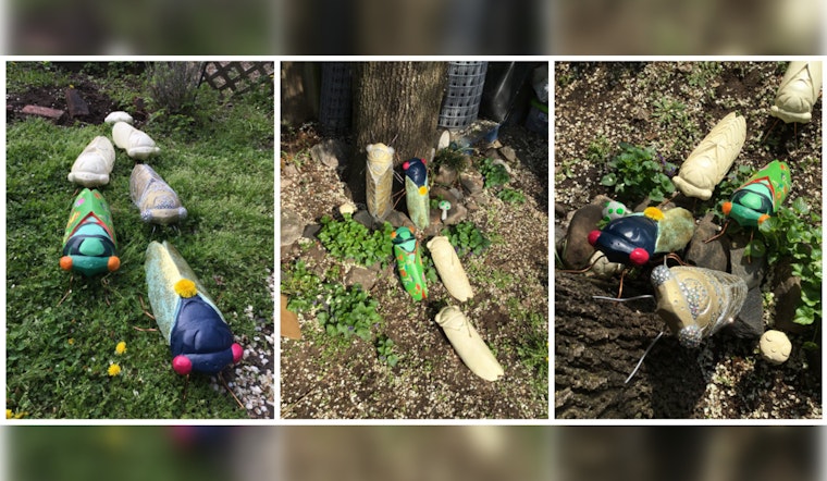 Chicago Transforms into Artistic Hive with "Cicada Parade-A" Public Art Display and Unique Jewelry Creations