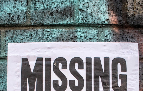 Chicagoans March for Justice for Missing Black Women and Girls, Demand Systemic Change