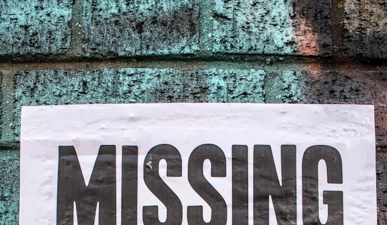 Chicagoans March for Justice for Missing Black Women and Girls, Demand Systemic Change