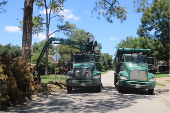City of Mesquite Advances Storm Cleanup, Targets July Wrap-Up for Debris Removal