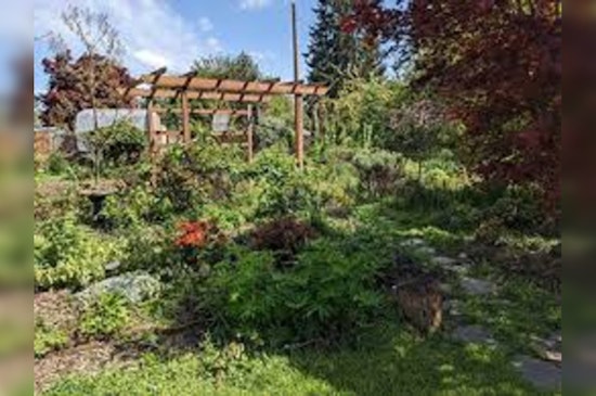 Clark County's Natural Garden Tour Showcases Eco-Friendly Practices