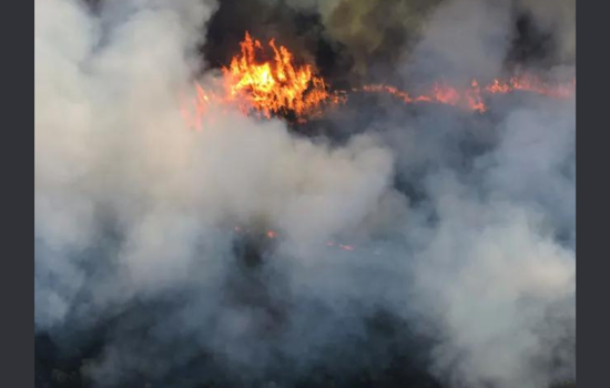 Consumers Energy Seeks $325 Million Rate Hike for Michigan Power Grid Upgrades Amid Wildfire Concerns