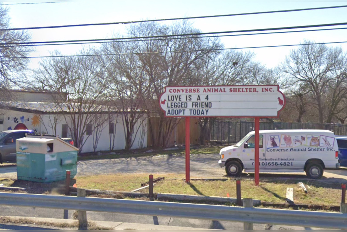 Converse Animal Shelter Struggles with Road Construction Disruptions