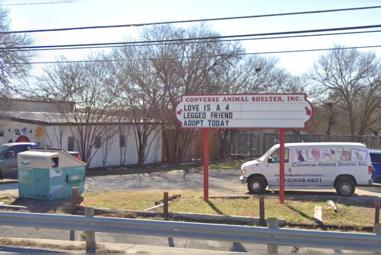 Converse Animal Shelter Struggles with Road Construction Disruptions and Flooding, Seeks City Accountability