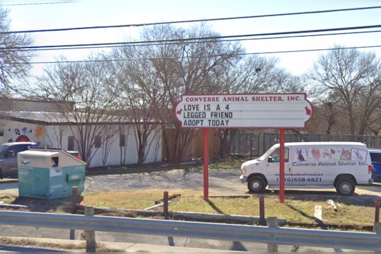 Converse Animal Shelter Struggles with Road Construction Disruptions and Flooding, Seeks City Accountability