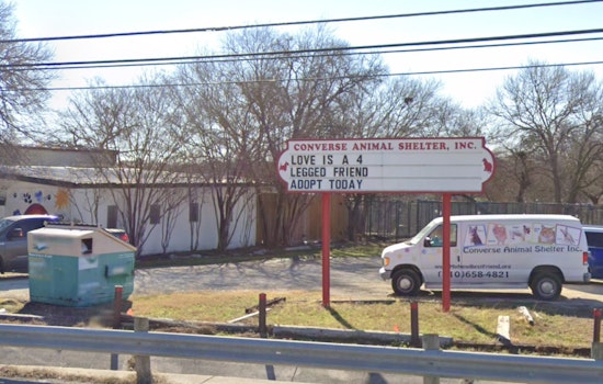 Converse Animal Shelter Struggles with Road Construction Disruptions and Flooding, Seeks City Accountability