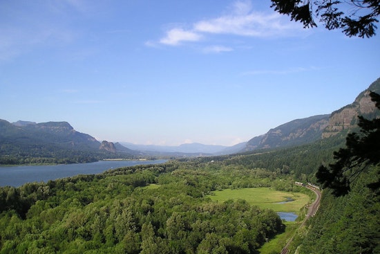 Cougar Encounter Prompts Temporary Closure of Angel's Rest Trail in Columbia River Gorge