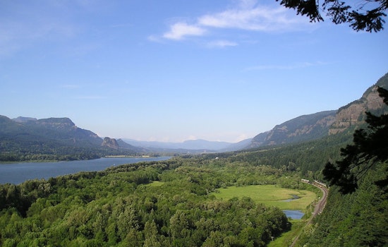 Cougar Encounter Prompts Temporary Closure of Angel's Rest Trail in Columbia River Gorge