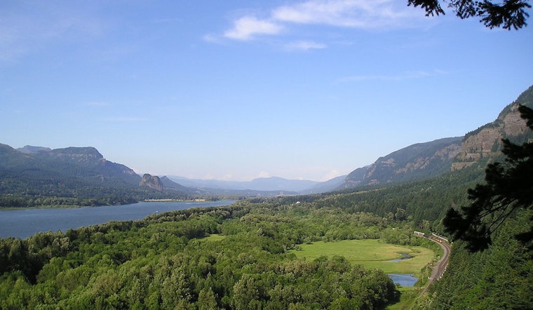 Cougar Encounter Prompts Temporary Closure of Angel's Rest Trail in Columbia River Gorge
