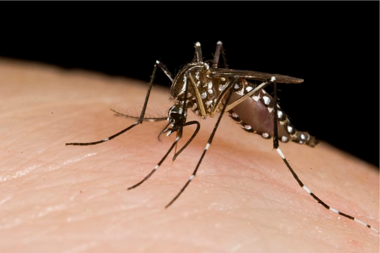 County Vector Control Initiates Aerial Mosquito Management to Combat West Nile Virus Risk