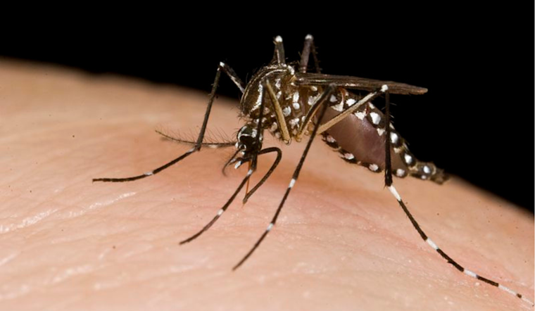 County Vector Control Initiates Aerial Mosquito Management to Combat West Nile Virus Risk