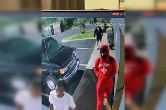 Crime Wave Hits Dollywood: Series of Car Burglaries and Sevierville Carjacking Under Investigation