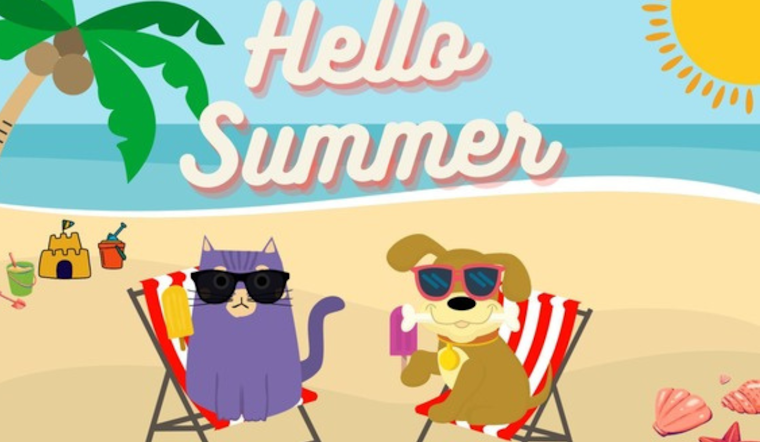 Dallas Animal Services Gears Up for "Dog Days of Summer" Event with Extended Hours and Volunteer Opportunities