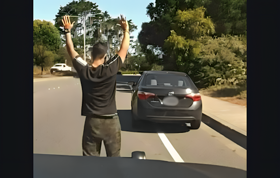 Daly City Resident Charged with Vehicle Theft After Colma Police Intercept Stolen Car