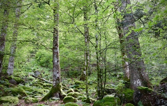 Delaware County Continues Hunt for LTSR Facility Amid Challenges with Delco Woods Site