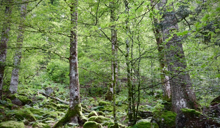 Delaware County Continues Hunt for LTSR Facility Amid Challenges with Delco Woods Site