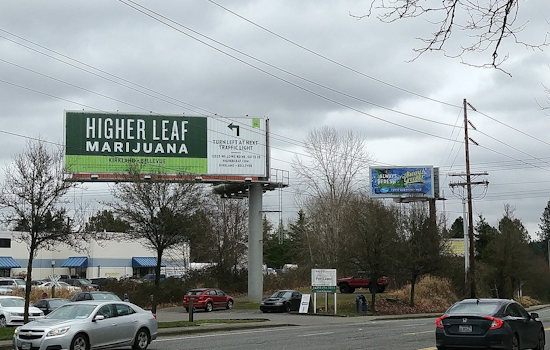 Detroit Grappled by Contentious Debate on Cannabis Billboard Advertising