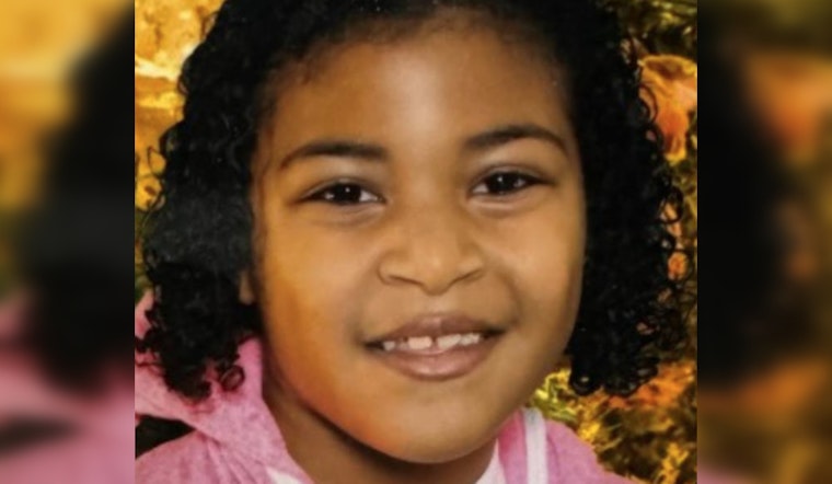 Detroit Police Seek Assistance to Locate Missing 14-Year-Old Cierra Goodman from West Side Neighborhood