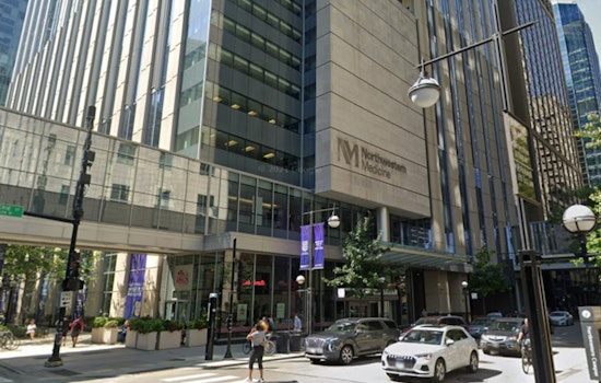 Elderly Woman Stabbed in Broad Daylight Near Chicago's Union Station, Suspect Apprehended with Public's Assistance