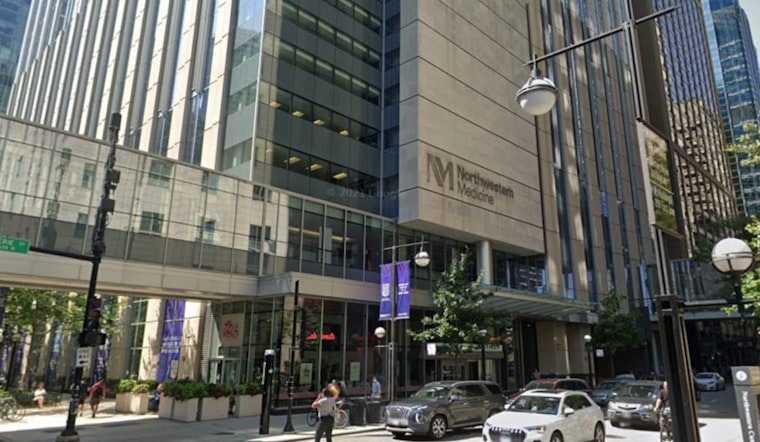 Elderly Woman Stabbed in Broad Daylight Near Chicago's Union Station, Suspect Apprehended with Public's Assistance