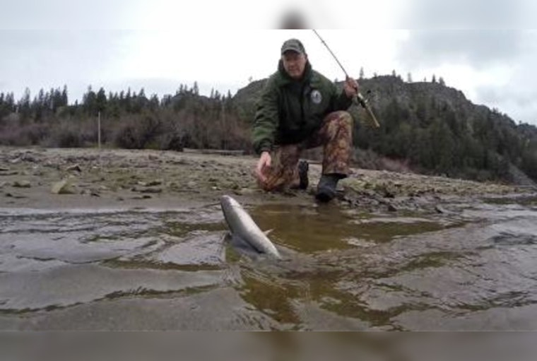 Expanded Salmon Fishing Opportunities in Washington's Marine Area 11 Open Seven Days a Week Until End of June