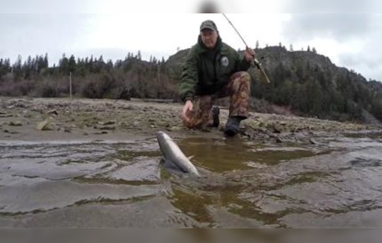 Expanded Salmon Fishing Opportunities in Washington's Marine Area 11 Open Seven Days a Week Until End of June