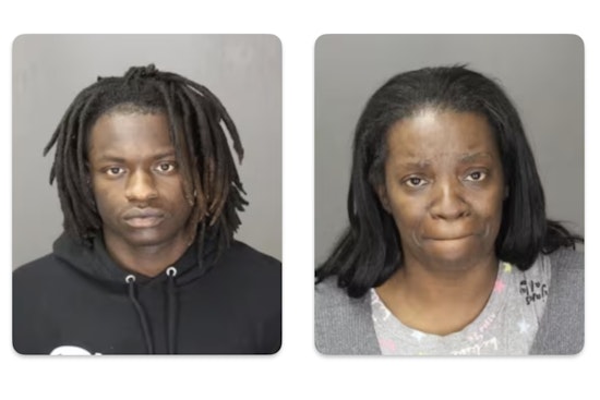 Farmington Hills Mother Accused of Shooting at Group Confronting Son, Charged with Felonious Assault