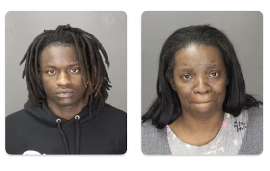 Farmington Hills Mother Accused of Shooting at Group Confronting Son, Charged with Felonious Assault