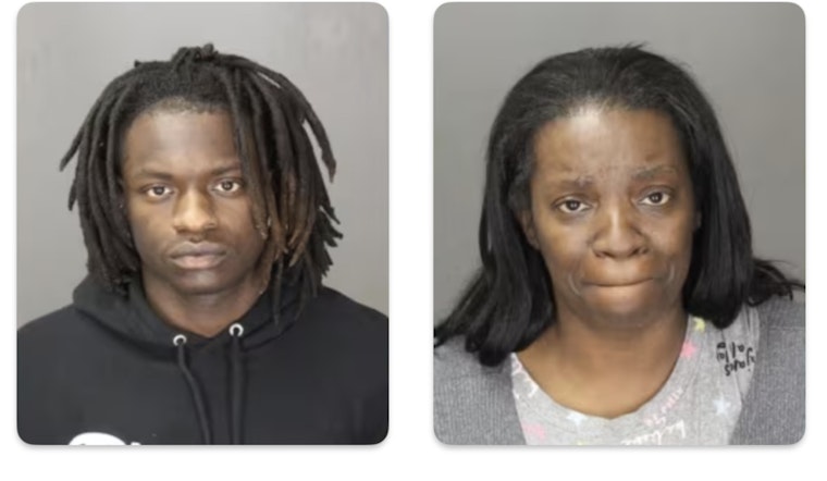 Farmington Hills Mother Accused of Shooting at Group Confronting Son, Charged with Felonious Assault