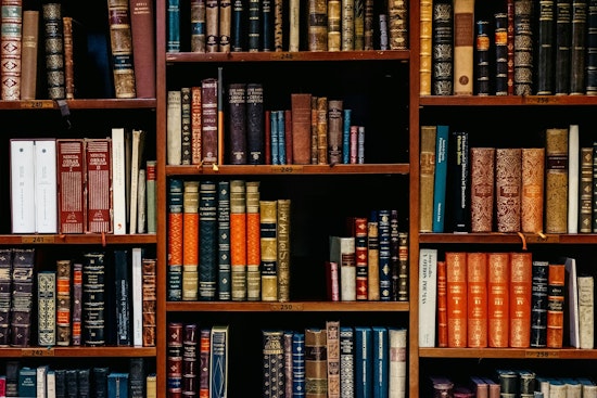 Federal Appeals Court Rules to Reinstate Contested Books in Llano County, Texas Libraries