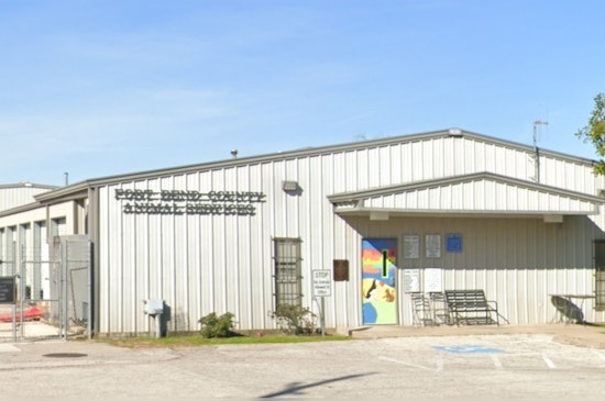Fort Bend County Mobilizes Pet Adoption Efforts with New $217K Specialty Vehicle